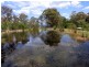 360 Myrtle Mountain Road, Wyndham NSW 2550