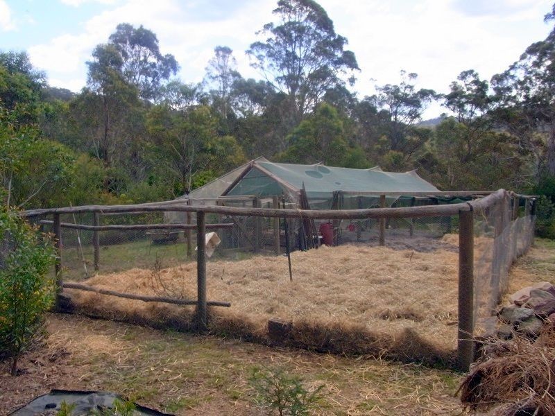 360 Myrtle Mountain Road, Wyndham NSW 2550