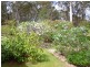 360 Myrtle Mountain Road, Wyndham NSW 2550