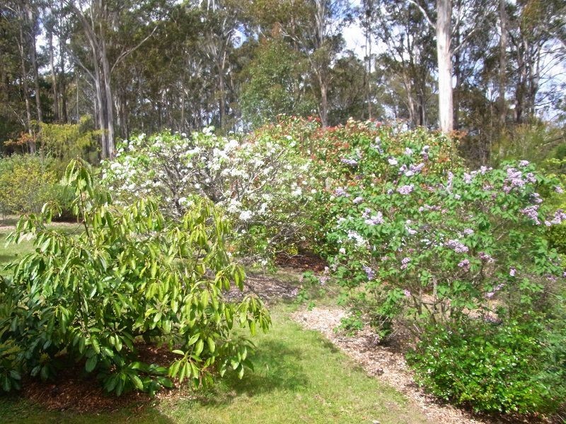 360 Myrtle Mountain Road, Wyndham NSW 2550
