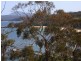 42 Cattlebay Road, Eden NSW 2551