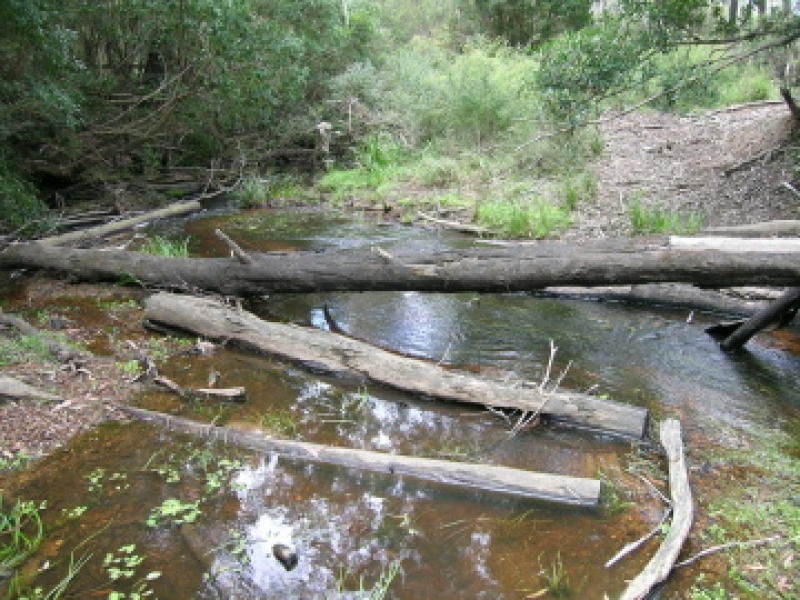Lot 21 & 23 Off Hut Forest Road, Narrabarba NSW 2551