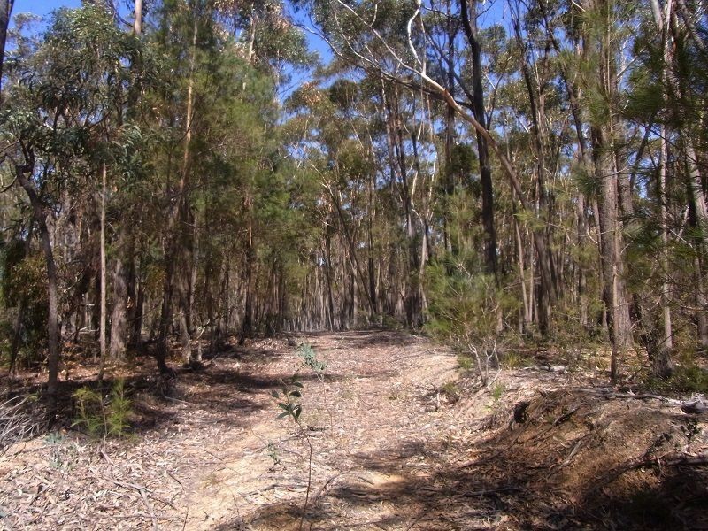 Lot 21 & 23 Off Hut Forest Road, Narrabarba NSW 2551