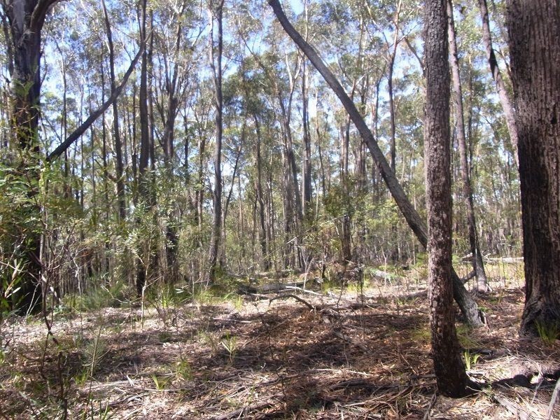 Lot 21 & 23 Off Hut Forest Road, Narrabarba NSW 2551