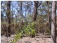 Lot 21 & 23 Off Hut Forest Road, Narrabarba NSW 2551
