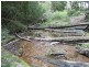 Lot 21 & 23 Off Hut Forest Road, Narrabarba NSW 2551