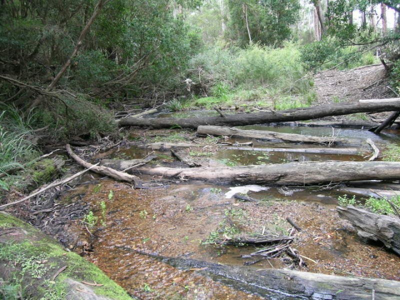 Lot 21 & 23 Off Hut Forest Road, Narrabarba NSW 2551