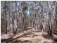 Lot 21 & 23 Off Hut Forest Road, Narrabarba NSW 2551