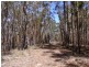 Lot 21 & 23 Off Hut Forest Road, Narrabarba NSW 2551
