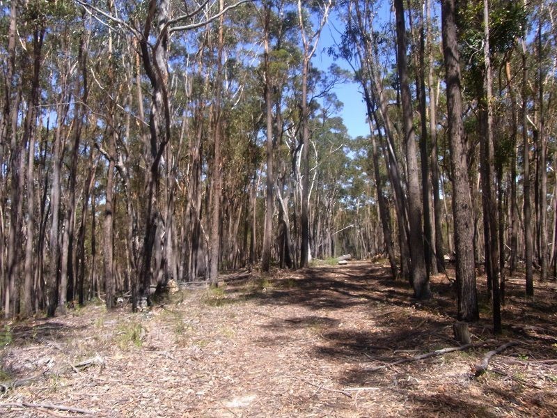 Lot 21 & 23 Off Hut Forest Road, Narrabarba NSW 2551