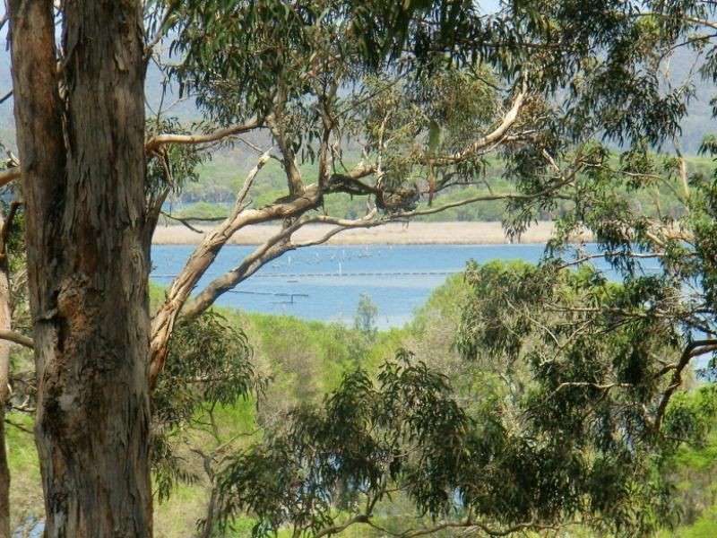 110 Stevens Road, Wonboyn NSW 2551