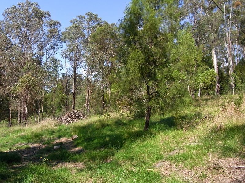 L1 Victoria Street, Towamba NSW 2550