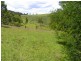 L3 McGraths Lane, Lochiel NSW 2549