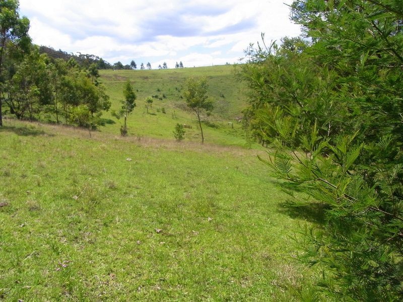 L3 McGraths Lane, Lochiel NSW 2549