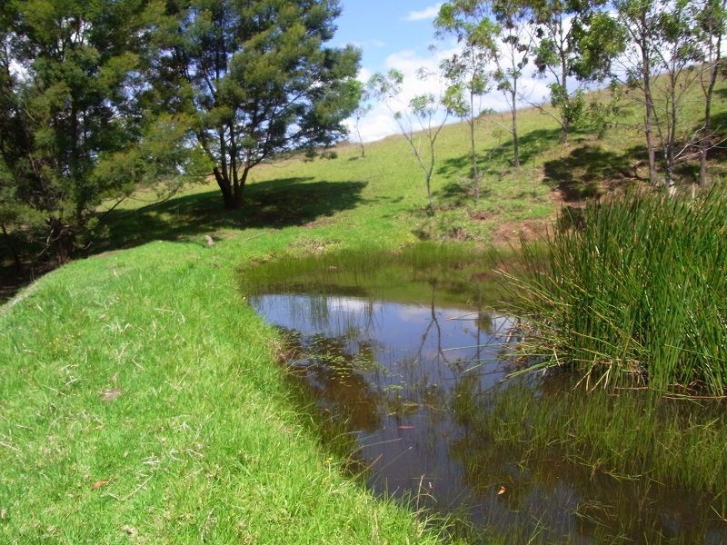 L3 McGraths Lane, Lochiel NSW 2549