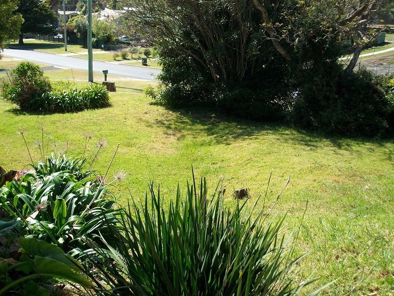 35 Bungo Street, Eden NSW 2551