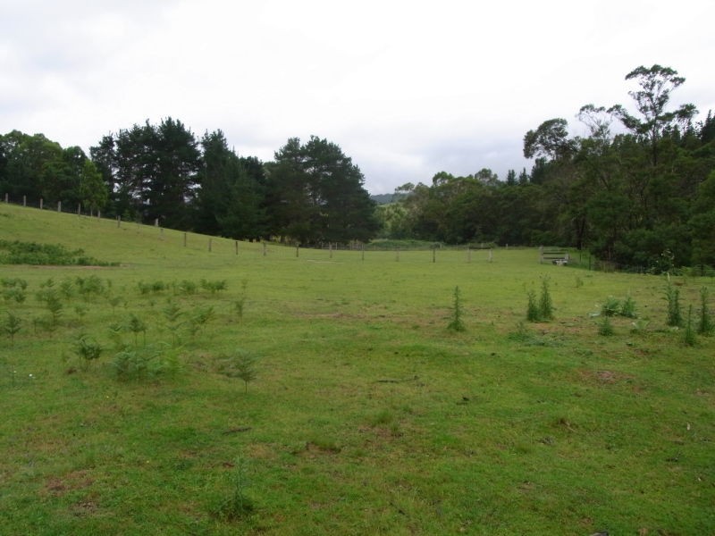 L12 Ben Beasley Road, Towamba NSW 2550