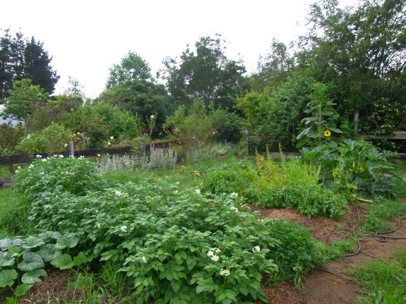 L12 Ben Beasley Road, Towamba NSW 2550