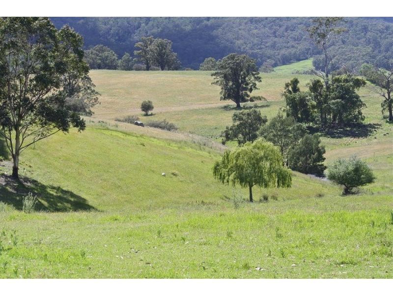 2995 Towamba Road, Towamba NSW 2550