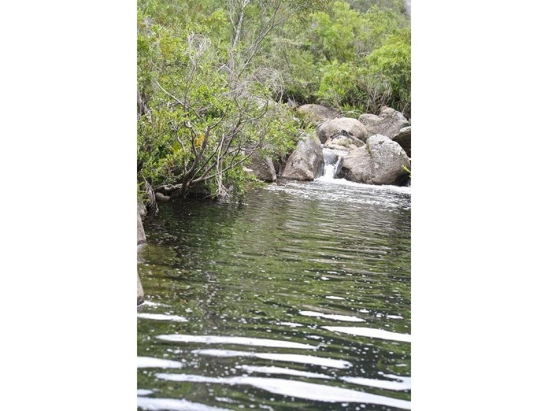 2995 Towamba Road, Towamba NSW 2550