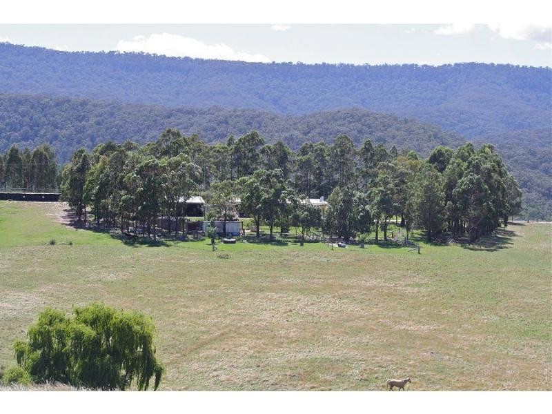 2995 Towamba Road, Towamba NSW 2550