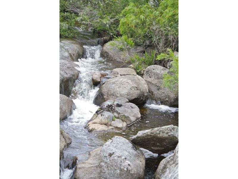 2995 Towamba Road, Towamba NSW 2550