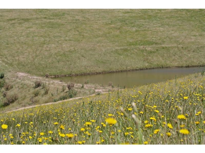 2995 Towamba Road, Towamba NSW 2550