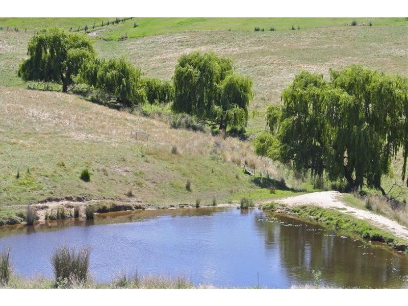 2995 Towamba Road, Towamba NSW 2550