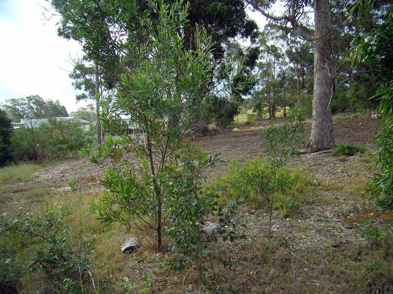 L306 Trumpeter Avenue, Eden NSW 2551