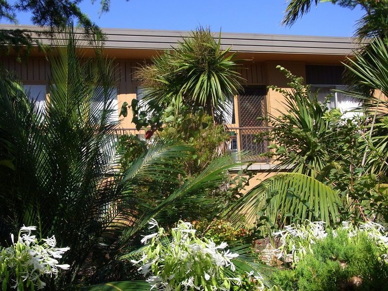 Unit 1 & 2/2 Andrea Street, Eden NSW 2551