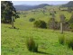 369 Fourters Road, Nethercote NSW 2549