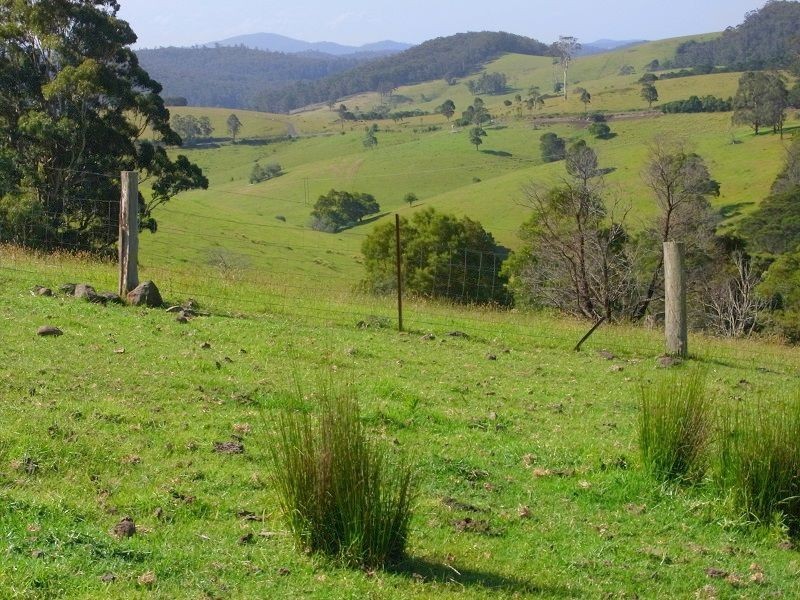 369 Fourters Road, Nethercote NSW 2549