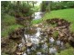 369 Fourters Road, Nethercote NSW 2549