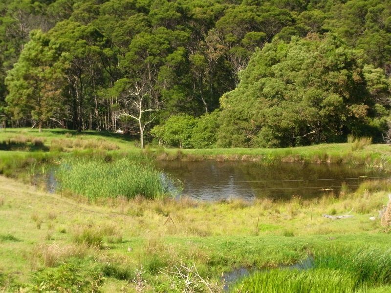 369 Fourters Road, Nethercote NSW 2549