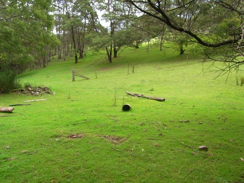 369 Fourters Road, Nethercote NSW 2549