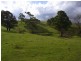 369 Fourters Road, Nethercote NSW 2549