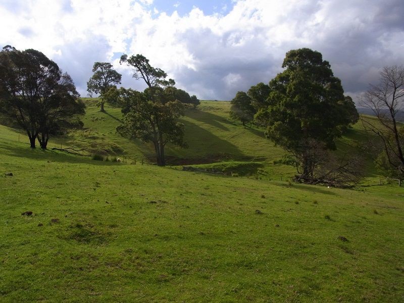 369 Fourters Road, Nethercote NSW 2549