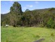 369 Fourters Road, Nethercote NSW 2549