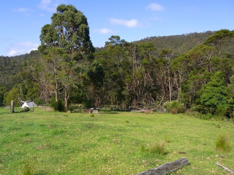 369 Fourters Road, Nethercote NSW 2549