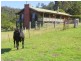 369 Fourters Road, Nethercote NSW 2549