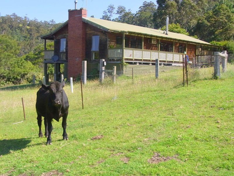 369 Fourters Road, Nethercote NSW 2549
