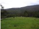 369 Fourters Road, Nethercote NSW 2549