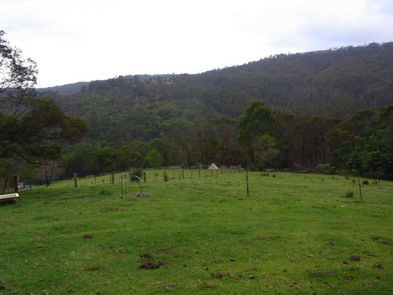 369 Fourters Road, Nethercote NSW 2549