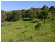 369 Fourters Road, Nethercote NSW 2549