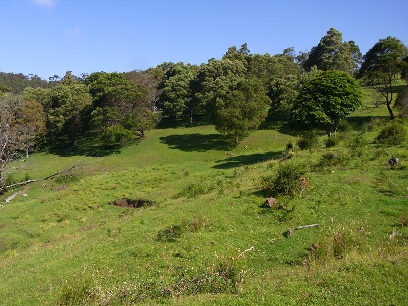 369 Fourters Road, Nethercote NSW 2549