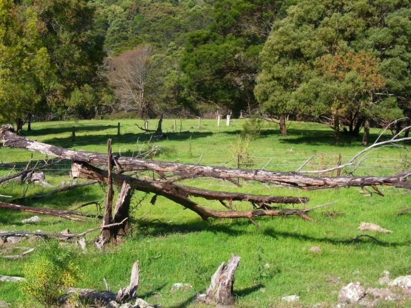 369 Fourters Road, Nethercote NSW 2549