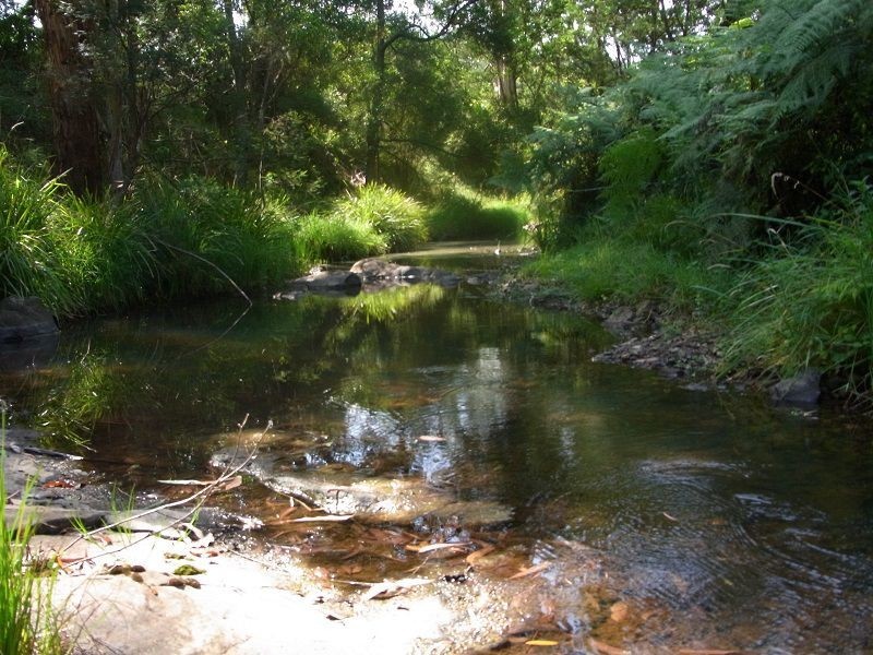 916 Nethercote Road, Nethercote NSW 2549