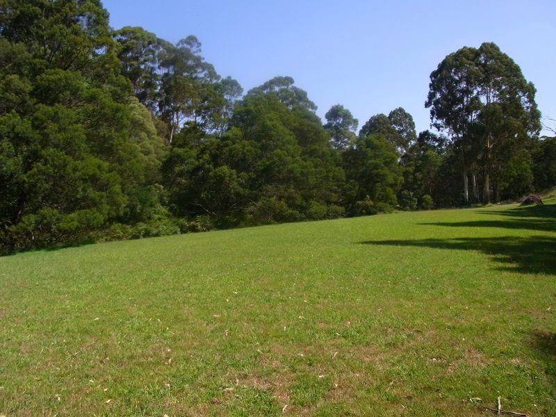 916 Nethercote Road, Nethercote NSW 2549