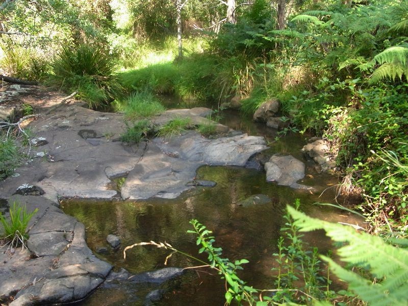916 Nethercote Road, Nethercote NSW 2549