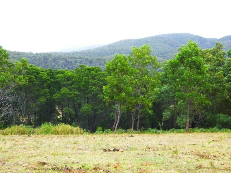 L12 Ballantynes Road, Nethercote NSW 2549